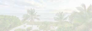 Palm trees on the beach background image